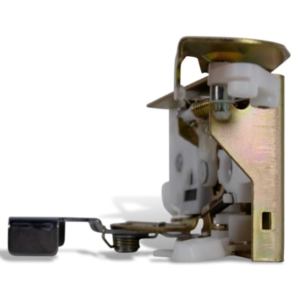 image_33371dcc-053c-4fe9-b6e7-969e9e9848e5