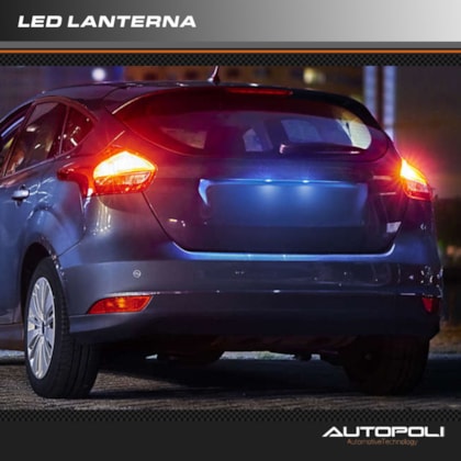 image_9915d9c1-89b2-4858-8b1c-3c2c2f846f09