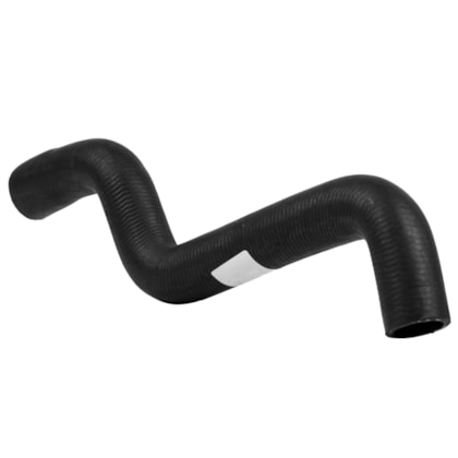 image_25f2adfe-1246-4c1f-b602-6688054ca1f1