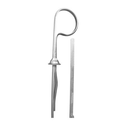 Product main image - 192d9619-c0f1-4eb4-bb59-fe23cf7144a0